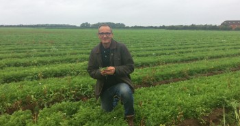 Crop safety is paramount in high value root veg Veg agronomist Ashley Cooley