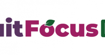 Fruit Focus goes online FF20 LIVE logo