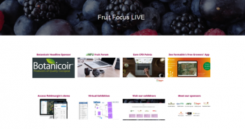 Online Fruit Focus brought together 1200 professionals from 40 countries Fruit Focus Live home page