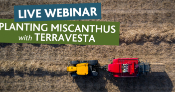 Planting miscanthus with Terravesta live webinar launched Terravista