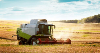 Feed wheat prices remain high as UK sees its worst yield since 80s crops