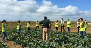 New study identifies scope for more innovation in horticulture
