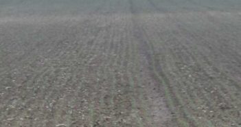 Copa & Cogeca underline role of farmers in ensuring soils are healthy and productive