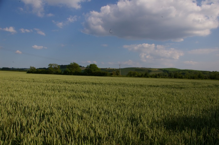 Urgent support needed to address crisis of young farmers' mental health