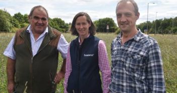 Making room for pollinators need not harm farm productivity