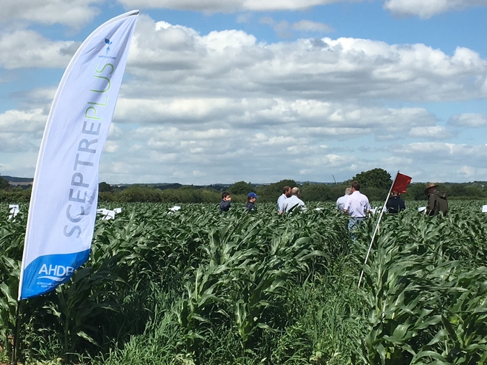 New priorities announced for plant protection research programme News