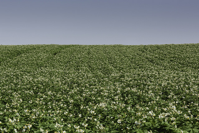 National Farm Management conference returns to tackle food and environment debate