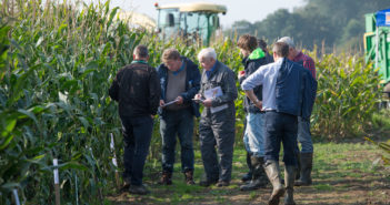 National maize trials look at varietal performance