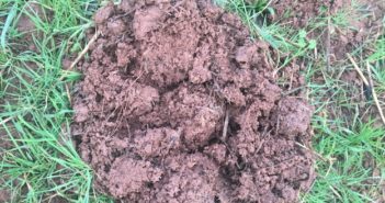 Speak up for soil health at Oxford Real Farming Conference