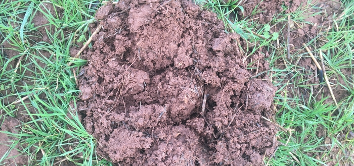 Speak up for soil health at Oxford Real Farming Conference
