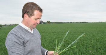 New liquid fertiliser urease inhibitor reduces nitrogen loss whilst improving plant nitrogen uptake