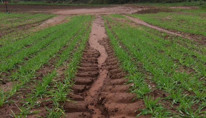 Unsustainable Soil Erosion In Parts Of UK News From AA Farmer