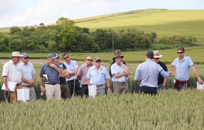 Register now for first 23/24 monitor farm cereal events