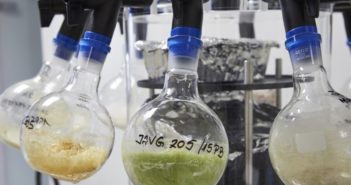 More biostimulants receive organic accreditation