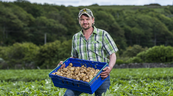 Ayrshire new potatoes launch in Tesco stores | News from AA Farmer