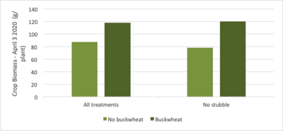 Fig.3 Buckwheat value