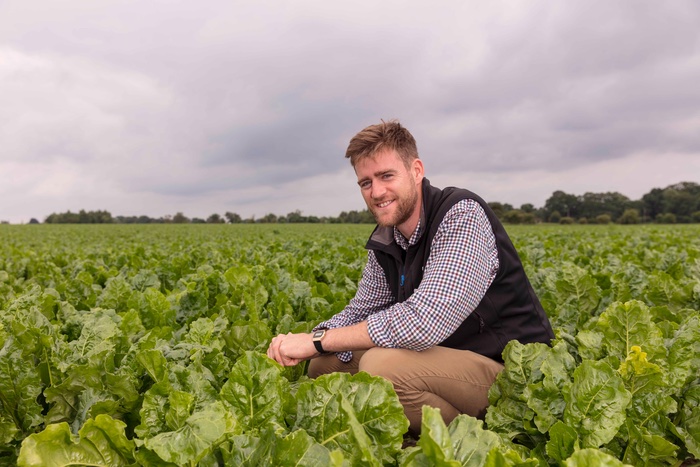 Monitor crops to prevent sugar beet from disease | News from AA Farmer