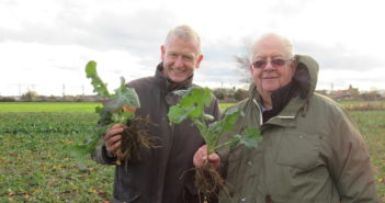 Variety choice and management key to successful OSR crop