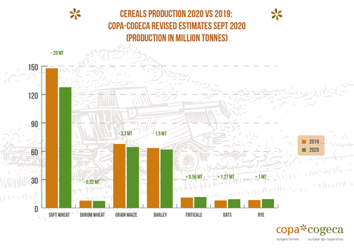 cereals production graph 2020