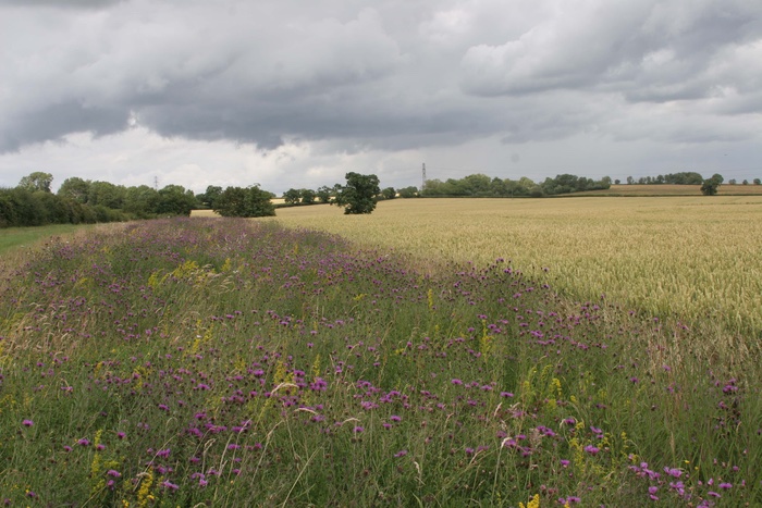 The Institution of Agricultural Engineers (IAgrE) launch a new qualification in partnership with the Society for the Environment