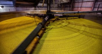 Chairman of the Maltsters’ Association outlines the challenges ahead for the malting sector