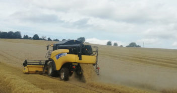 LG Diablo tops barley trials in the north