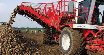 First ever sugar beet pricing platform launched