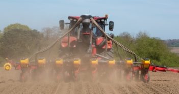 New KWS maize seed service