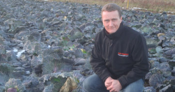 Seaweed based biostimulant on the up