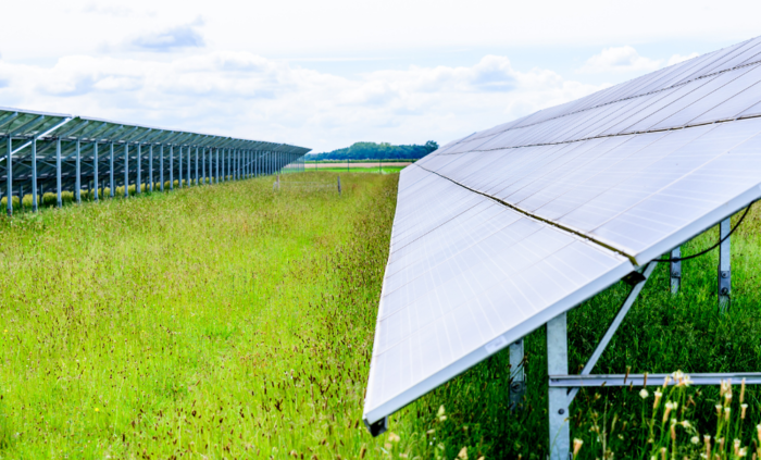 Lock into long-term secure returns by leasing your land for solar
