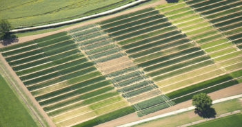 Increasing weed threat now greater than any point in human history, say scientists