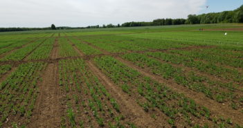 Boost your protein crop margins with sustainable biological solutions