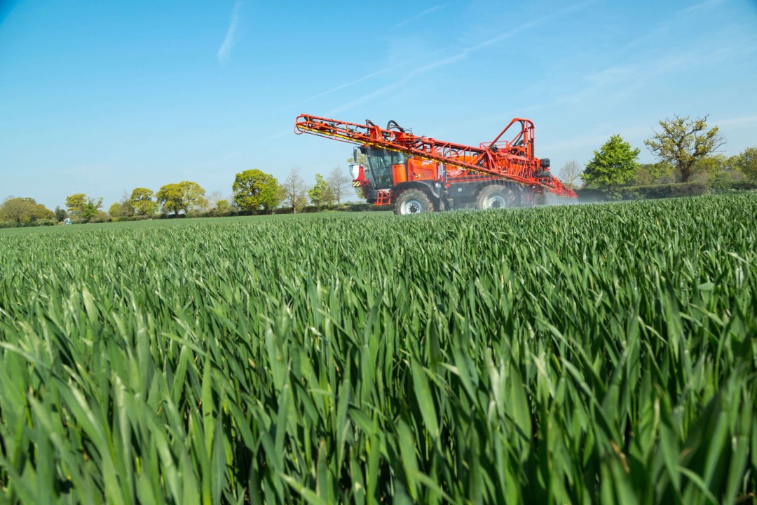 Protecting global crop yields from disease