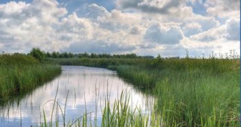 New, comprehensive, online tool helps farmers and landowners navigate post-EU subsidy regimes, as well as build their biodiversity and net zero carbon strategies