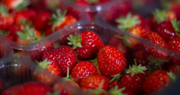 Scottish grown AVA strawberries now available in supermarkets across the UK