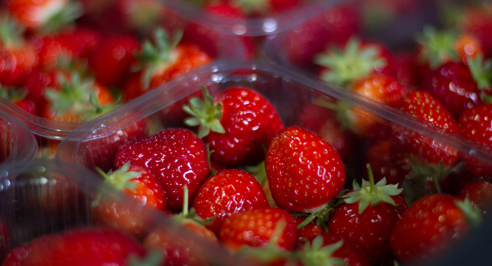 Scottish grown AVA strawberries now available in supermarkets across the UK