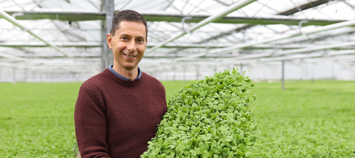 Strategic salad leaf success from horticultural venture
