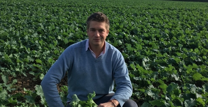 Vigilance still required as cold weather slows both sugar beet growth and aphid migration
