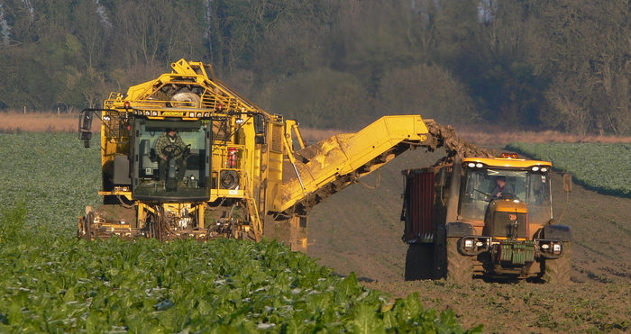 Sugar beet workers reminded of safety guidelines