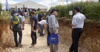 NIAB’s Soil Hole is rooting for you