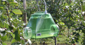 BASF Digital Farming and Pessl collaborate to boost fruit and vegetable production