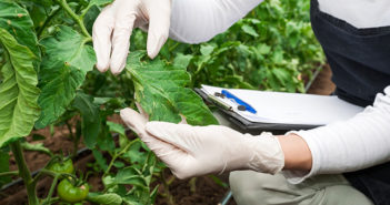 Report explores potential solution for the future of novel crop protection