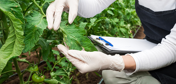Report explores potential solution for the future of novel crop protection