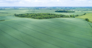 Further action on new tree disease