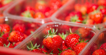 Scottish berry supplier Angus Soft Fruits to eliminate over 150 tonnes of single use plastic a year