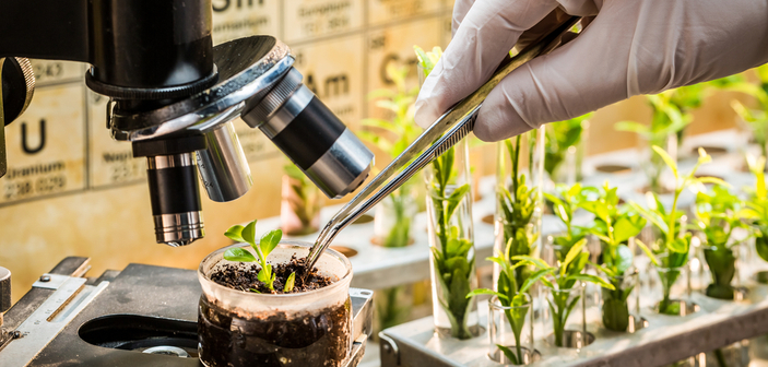 New look for plant breeding society