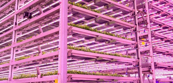 Novel vertical farm to accelerate skills, research and innovation