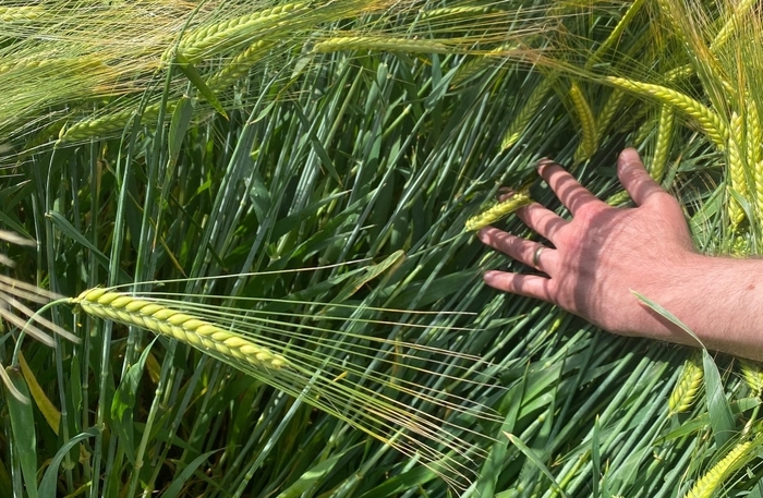 Frontier celebrates farmer, Tim Lamyman’s barley yield world record