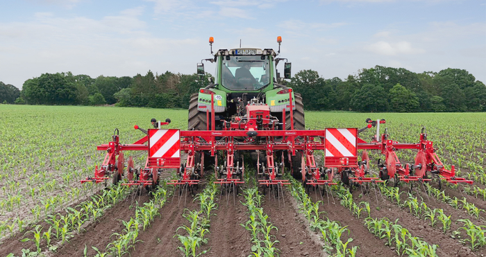 Steketee hoeing technology proves its worth in DeltaRow maize crop