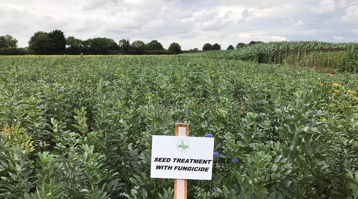Trial results show impressive return on investment with use of biological seed treatment on cereals and beans